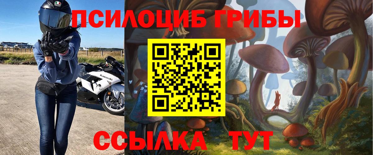 Галлюциногенные грибы Magic Shrooms Лыткарино