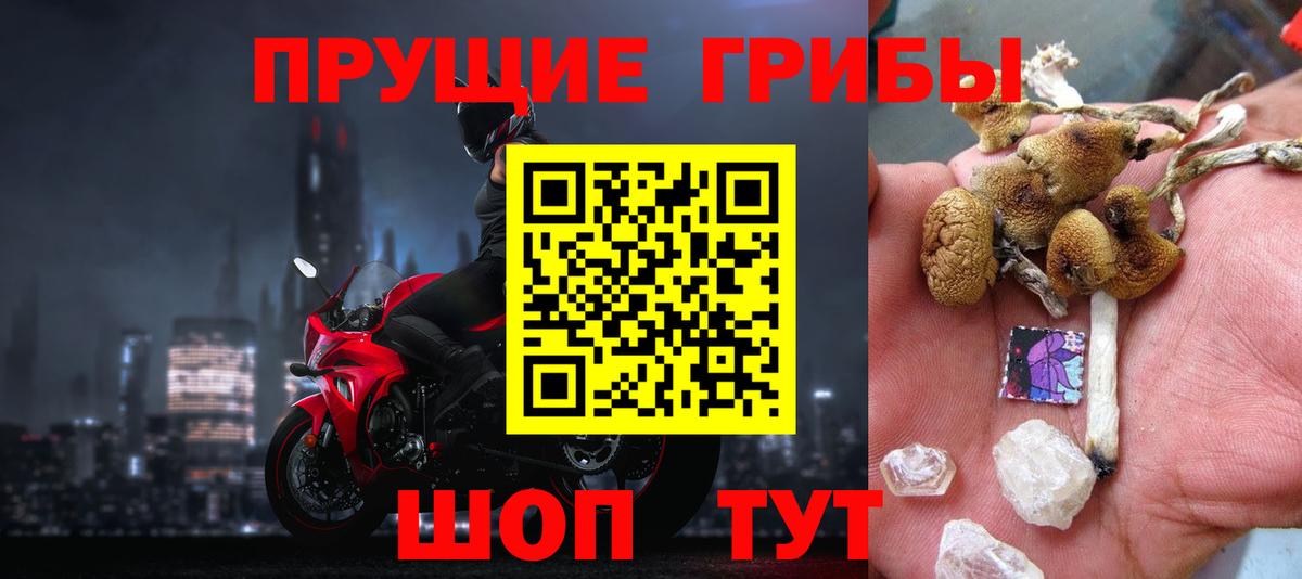 Галлюциногенные грибы MAGIC MUSHROOMS  Вход с VPN  Лыткарино 